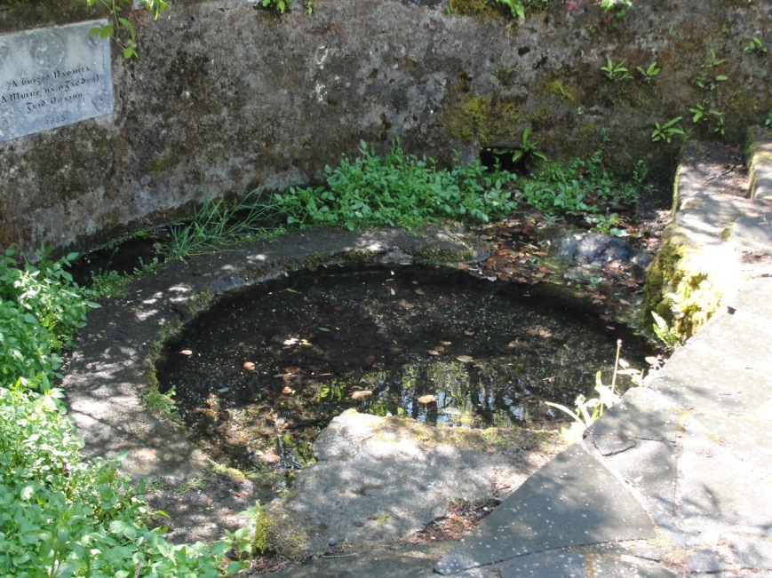 Brigid's Well, Kildare