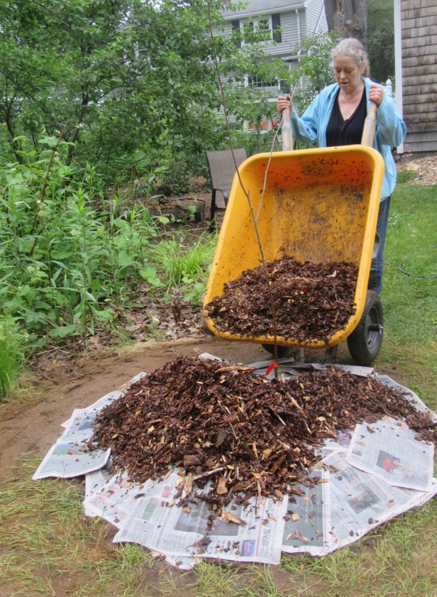 Myke adding wood chips to mulberry