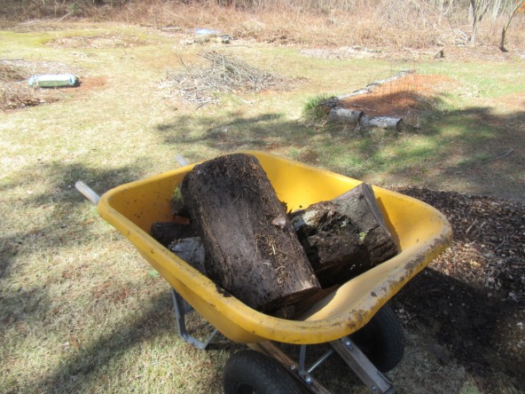 Logs for hugelkultur